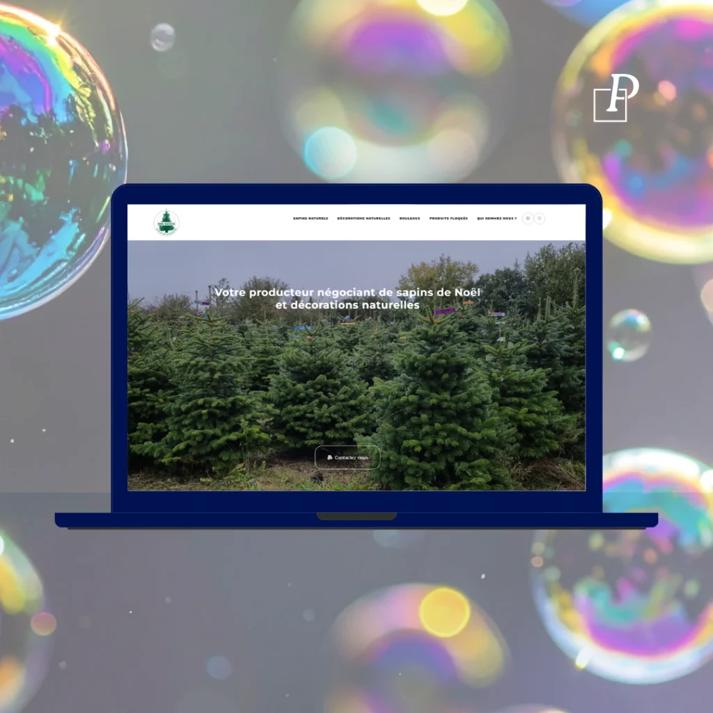 Site Noel Success par Lauriane Paslawski